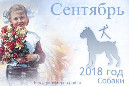 Овен гороскоп на месяц январь 2018