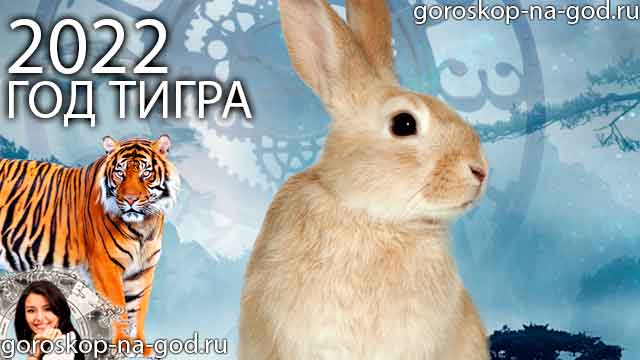 восточный гороскоп на 2022 год для Кролика