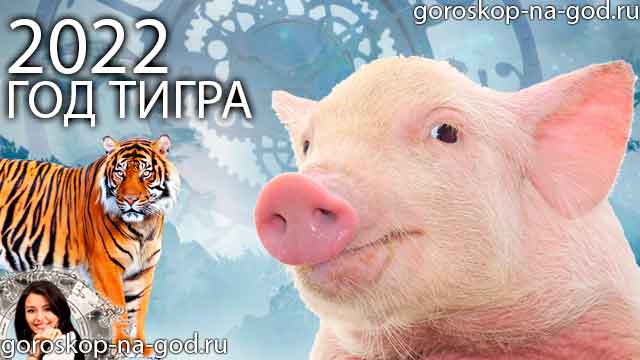 восточный гороскоп на 2022 год для Свиньи