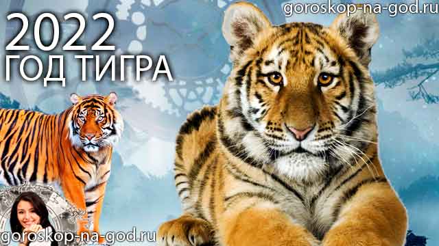восточный гороскоп на 2022 год для Тигра