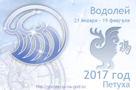 Число года водолей. Год Водолея. Водолей в год петуха. Гороскоп Водолей и петух. Человек Водолей петух.