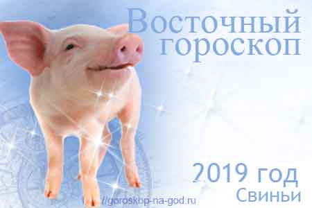 восточный гороскоп на 2019 год Свиньи