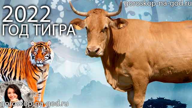 восточный гороскоп на 2022 год для Быка