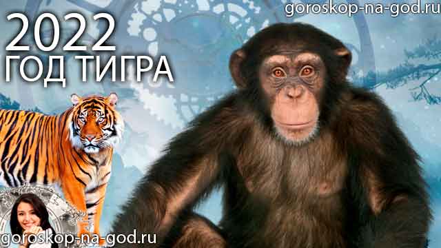 восточный гороскоп на 2022 год для Обезьяны