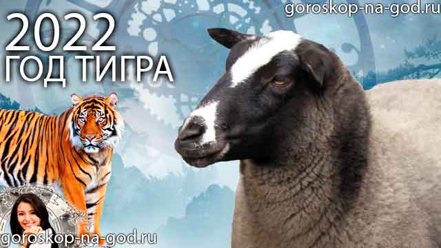 восточный гороскоп на 2022 год для Овцы