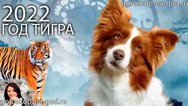восточный гороскоп на 2022 год для Собаки