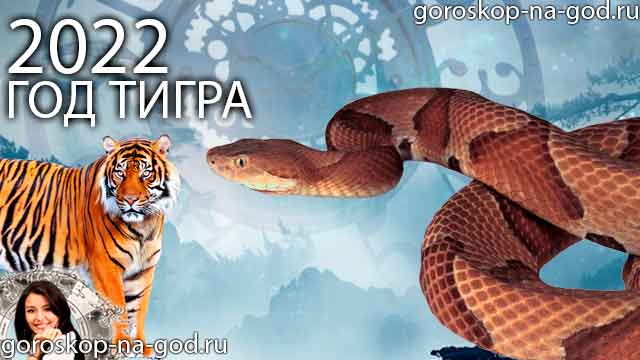 восточный гороскоп на 2022 год для Змеи
